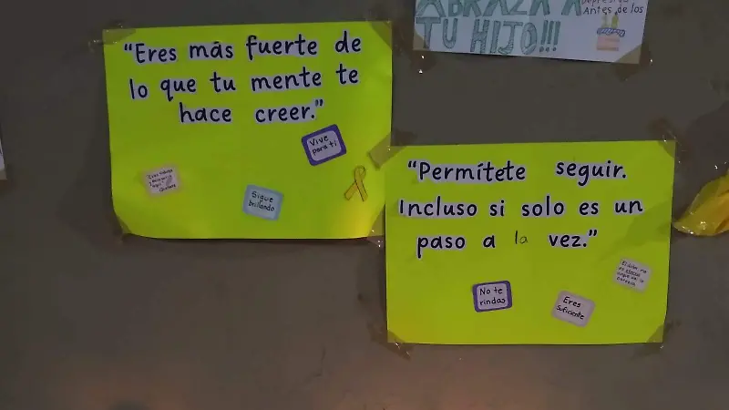 Presentan en Xalapa la iniciativa “Xallitic es Vida”